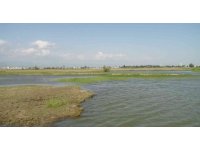 Gölete düşen minik Afra hayatını kaybetti