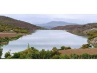 Tamamen kuruyan gölet, yeniden hayat buldu