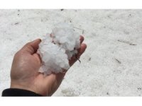 15 dakika etkili oldu, onlarca dönüm alan zarar gördü