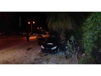 Otomobil takla atıp palmiyeye çarptı: 1 ölü