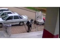 Mazgal hırsızlığı kamerada