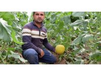 Kumluca’da devrilen traktörün altında kalan sürücü hayatını kaybetti