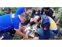 Kayalıklardan düşen vatandaşın imdadına AFAD yetişti