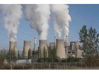 Çevreye kül yağdıran termik santrale ceza