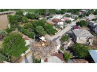 45 yıldır aynı caminin minaresine yuva yapıyorlar