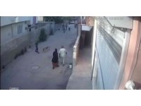 Sokak köpeğinin küçük çocuğa saldırdığı anlar kamerada