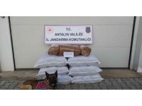 Yolcu otobüsünde 210 kilogram kaçak tütün ele geçirildi