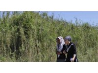 Ceyhan Nehri’nde kaybolan çocuk 3 gündür aranıyor