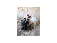 Dağda mahsur kalan keçi 6 saatlik çalışmayla kurtarıldı