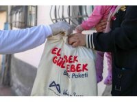 Mersin’de ’El bebek gül bebek’ projesi devam ediyor