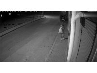 Evden hırsızlık yapan şüpheli tutuklandı