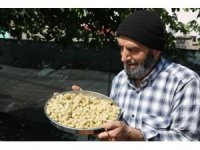 Dut hasadı başladı