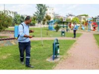 Büyükşehir sivrisinek ve haşere ile mücadeleyi yoğunlaştırdı