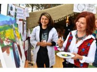 "Darıseki Örnek Köy" projesi