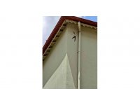 İpte asılı kalan ebabil kurtarıldı