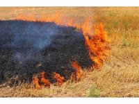Çiftçilere ’Anız Yakmayın’ uyarısı