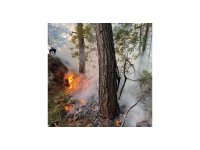 Antalya’da orman yangını