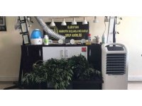 Klimalı seraya çevirdiği banyoda 4 mevsim uyuşturucu yetiştirmiş