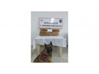 Otobüs bagajında 50 kilo kaçak tütün ele geçirildi