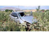 Otomobil ayçiçek tarlasına uçtu: 1 yaralı