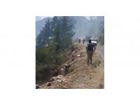 Akıl sağlığı yerinde olmayan kişinin çıkardığı yangında 1 hektar alan yandı