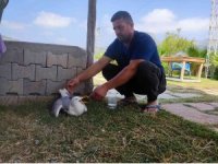 Hatay’da yaralı gümüş martıya vatandaş şefkati