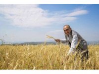 Mersin’de üreticilere kuraklığa dayanıklı buğday tohumu dağıtıldı