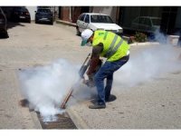 Osmaniye’de sinekle mücadele