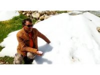 Mersin’de dolu 10 dakikada bahçelere zarar verdi