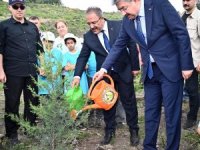 Osmaniye’de 150 fidan toprakla buluşturuldu