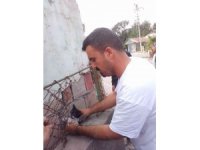 İki duvar arasında sıkışan kediyi belediye personeli kurtardı