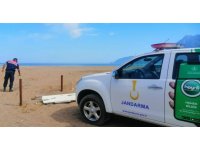 Carettaların yuvalama alanına araçla girdi