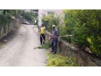 Yayla sezonu öncesi Horzum yaylasında bakım çalışmaları tamamlandı