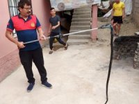 Osmaniye’de eve giren yılanı itfaiye yakaladı