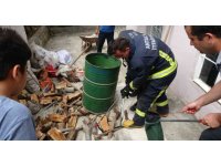 Odunlukta 2 metrelik yılan operasyonu