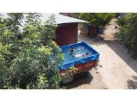 Çocuklar römork havuzda serinliyor