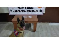 Hatay’da uyuşturucu operasyonu: 5 gözaltı