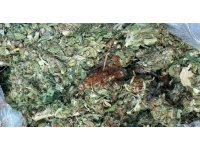 Kahve ile kamufle edilmiş 72 kilo esrar ele geçirildi