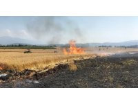 Osmaniye’de 10 dönüm buğday tarlası yandı