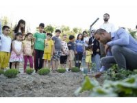 Küçük eller toprağa değdi