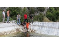 Sulama havuzuna giren çocuk boğuldu
