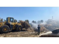 Manavgat’ta besihanede 3 bin ot balyası yandı