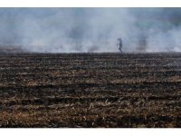 Doğan: "Sürdürülebilir tarım için anız yakmayın"