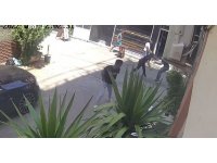 Önce bıçakladı, sonra yardımına koşup yarasına tampon yaptı