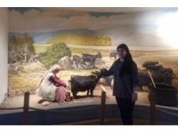 Kahramanmaraş’ta dondurma müzesine yoğun ilgi