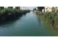 Adana’da sulama kanalına giren bir kişi kayboldu