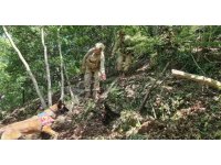 Hatay’da Amanoslar kırsalında tuzaklanmış patlayıcı imha edildi