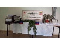 İkametinde uyuşturucu yetiştiren bir kişi yakalandı