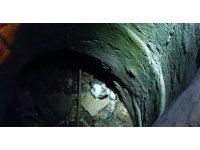 Hatay’da kuyuya düşen yavru kediyi itfaiye kurtardı