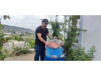 Hayvan gübresinden kendi gazını üretti